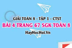 Giải bài 4 trang 67 Toán 8 Tập 1 SGK Chân trời sáng tạo